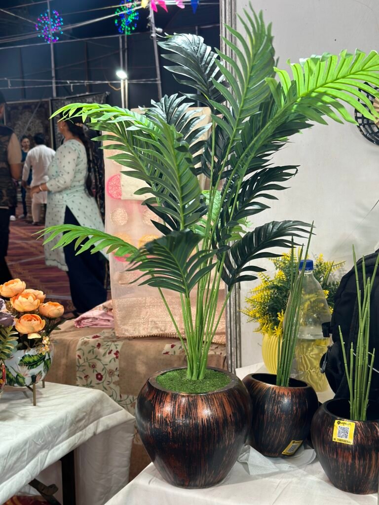 Areca palm Plants